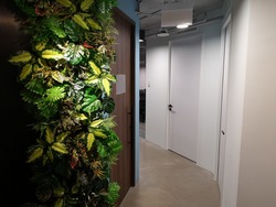 The Adelphi (D6), Office #217806431